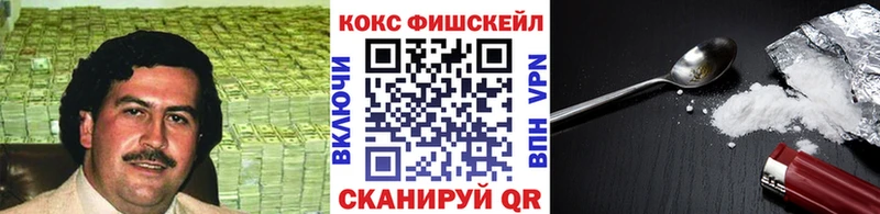 как найти наркотики  Судогда  OMG сайт  COCAIN Columbia 