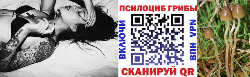 Галлюциногенные грибы мухоморы  закладки  Судогда 